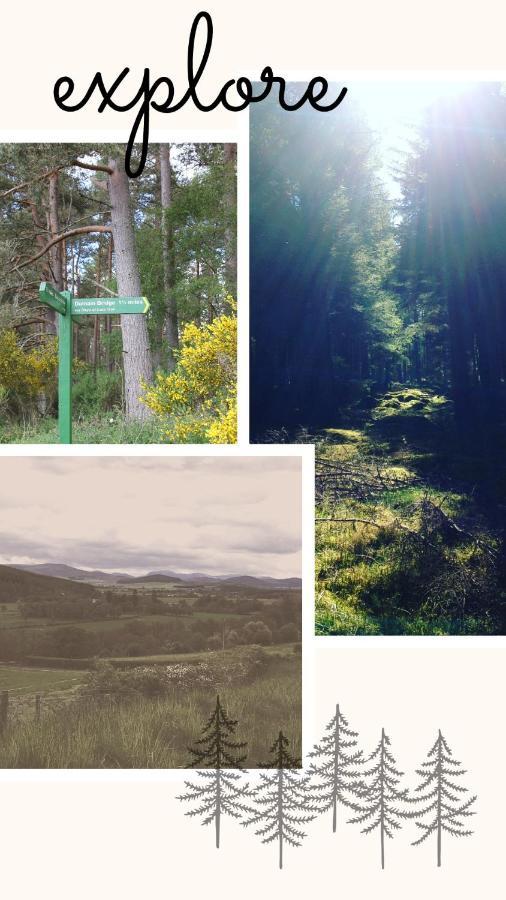Rosegrove Holiday Apartment Grantown-on-Spey Eksteriør billede